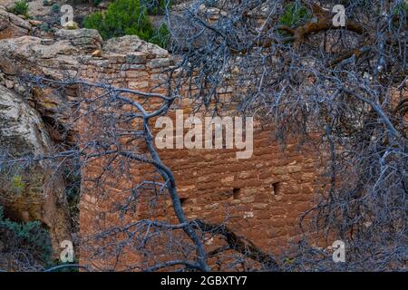 Holly Tower, mit exquisiter Handwerkskunst, erbaut von Ancient Puebloans in der Holly Unit des Hovenweep National Monument, Colorado, USA Stockfoto