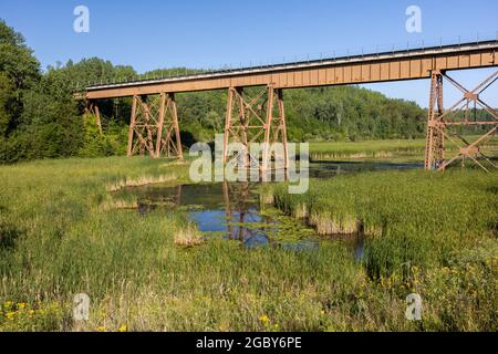 Railroad Trestle Bridge Über Swampy Creek Stockfoto