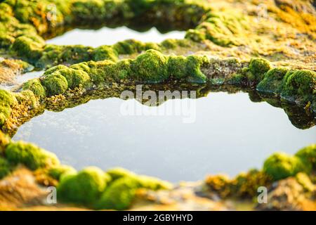 Schöne Höhle mit Felsen in Ninh Thuan Provinz Südvietnam Stockfoto