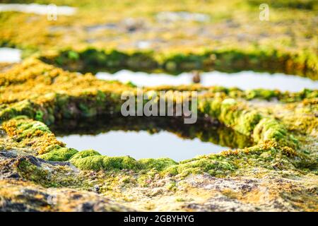 Schöne Höhle mit Felsen in Ninh Thuan Provinz Südvietnam Stockfoto