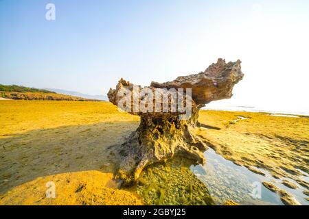 Schöne Höhle mit Felsen in Ninh Thuan Provinz Südvietnam Stockfoto