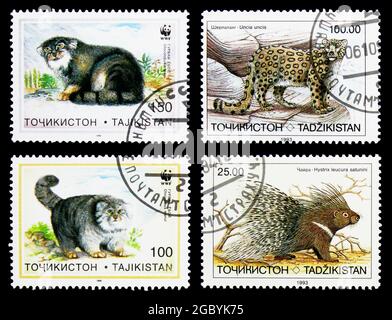 MOSKAU, RUSSLAND - 26. NOVEMBER 2017: Vier in Tadschikistan gedruckte Briefmarken aus der Tierserie, um 1993 Stockfoto