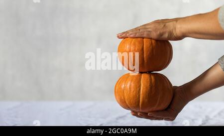 Die Hände der Frauen halten zwei orangefarbene Kürbisse. Das Konzept der Ernte, Herbst. Speicherplatz kopieren. Stockfoto