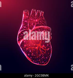 Menschliches Herz. Drahtmodell mit geringer Poly-Optik. Konzept für die Medizin, Kardiologie Krankheit. Abstrakte moderne 3d-Vektorgrafik auf dunkelblauem Hintergrund Stock Vektor