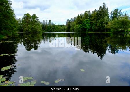 Ein privater Tarn, See oder einfach nur in Wäldern in den South Lakes in Cumbria Nordwestengland Stockfoto