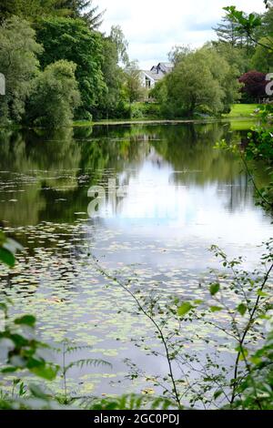 Ein privater Tarn, See oder einfach nur in Wäldern in den South Lakes in Cumbria Nordwestengland Stockfoto