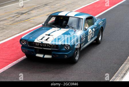 Laurie Tucker fährt seinen Ford Shelby Mustang GT350 aus dem Jahr 1965 in der Boxengasse vor dem Start der International Trophy for Classic Pre-66 GT Cars Stockfoto