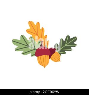Schönes Cartoon Herbarium mit Eichenzweigen. Niedliche Herbstkomposition aus gefallenen Blättern und Eicheln. Dekoratives Element für die Gestaltung von Postkarten Stock Vektor