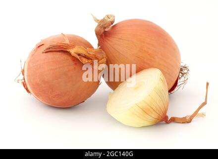 Frische braune Zwiebelbirnen isoliert auf weißem Hintergrund Stockfoto