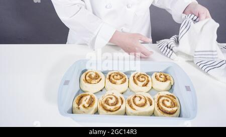 Ungebackene Zimtbrötchen in einer blauen Backform. Stockfoto