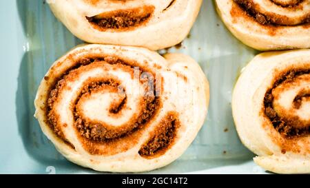 Ungebackene Zimtbrötchen in einer blauen Backform. Stockfoto