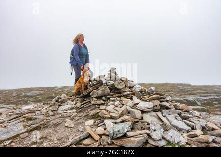 Hundespaziergänger auf der Gipfelkuppe des Munro-Berges von Ben Oss in der Nähe von Tyndrum, in der Nähe von Stirling, Schottland, im Loch Lomond und Trossachs National Park Stockfoto