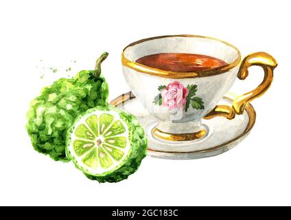 Tasse Tee und Bergamotte-Fruchtscheibe. Handgezeichnete Aquarelldarstellung isoliert auf weißem Hintergrund Stockfoto