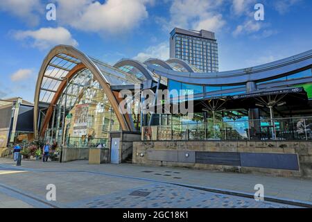 The Winter Gardens, Sheffield, South Yorkshire, England, Großbritannien Stockfoto