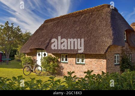 Reetdachhaus, friesisches Haus in Nebel, Deutschland, Schleswig-Holstein, Nordfriesland, Amrum Stockfoto