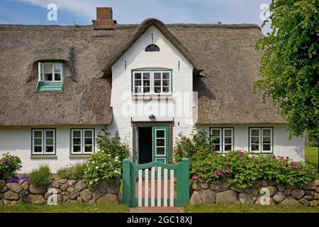 Reetdachhaus, friesisches Haus in Nebel, Deutschland, Schleswig-Holstein, Nordfriesland, Amrum Stockfoto