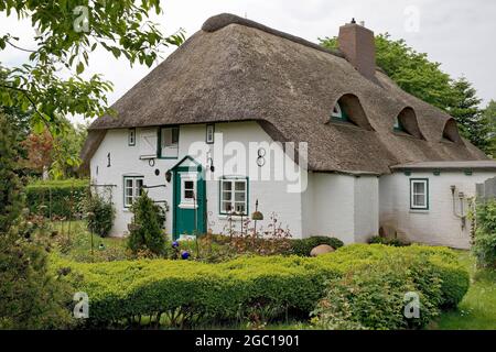 Reetdachhaus, friesisches Haus in Nebel, Deutschland, Schleswig-Holstein, Nordfriesland, Amrum Stockfoto