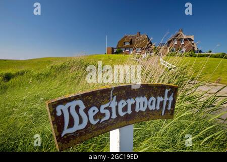 terp Westerwarft auf dem Hallig Hooge, Deutschland, Schleswig-Holstein, Nordfriesland, Nordsee Stockfoto