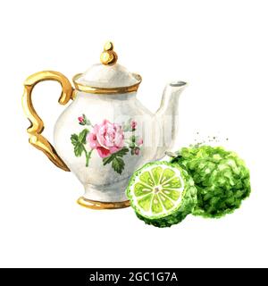 Teekannen- und Bergamotte-Fruchtscheibe. Handgezeichnete Aquarelldarstellung isoliert auf weißem Hintergrund Stockfoto