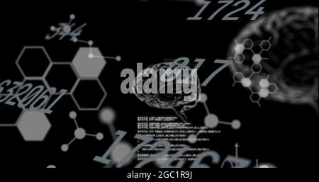 Bild von sich ändernden Zahlen und Datenverarbeitung mit menschlichen Gehirnen Stockfoto
