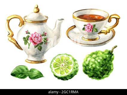 Teekannen, Tasse Tee und Bergamotte-Obst-Slice-Set. Handgezeichnete Aquarelldarstellung isoliert auf weißem Hintergrund Stockfoto