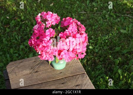 Schönes Bouquet von lila Sommer Phloxe im Freien Stockfoto