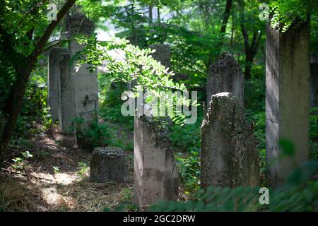 Betonbalken in Betonstapeln verstärken, gebrochene Betonstapel im Wald. Stockfoto