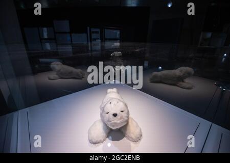Nürnberg, Deutschland. August 2021. Der Therapieroboter Paro (Japan 2013), liegt in einer Vitrine im Zukunftsmuseum, der Filiale des Deutschen Museums in München. Paro reagiert zum Beispiel auf Streicheln. Demenzpatienten erleben ihn wie ein Haustier. Die Eröffnung des Museums mit fast 3000 Quadratmetern Ausstellungsfläche ist für Mitte September 2021 geplant. Quelle: dpa picture Alliance/Alamy Live News Stockfoto