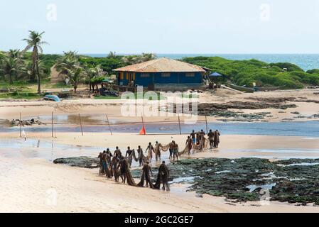 Salvador, Bahia, Brasilien - 25. Dezember 2018: Viele Fischer, die nach einem intensiven Angeltag ein großes Fischernetz in die Kolonie tragen. Stockfoto