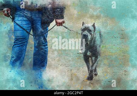 Digitale Aquarellmalerei eines italienischen Cane Corso Hundes. Ein erwachsener schwarzer Hund mit abgeschnittenen Ohren und Schwanz geht mit einem Mann an der Leine. Abstraktes Wandtuch Stockfoto