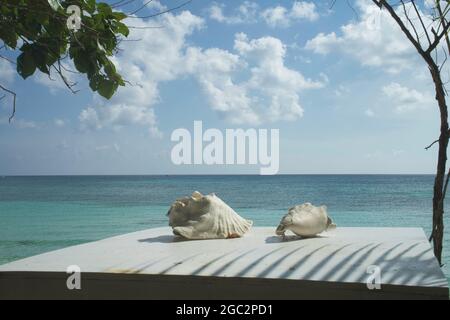 Zwei Muscheln über einem kleinen Tisch mit Blick auf das Meer an einem einsamen tropischen Strand auf einer karibischen Insel. Mexiko Stockfoto