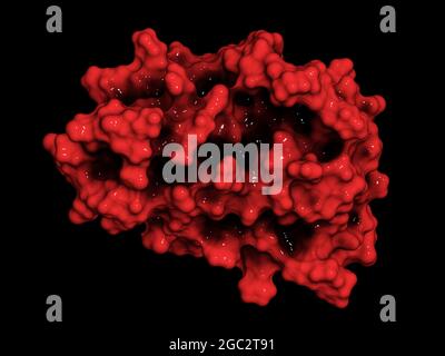 Erythropoietin (humanes EPO, Epoetin) Proteinhormon, 3D-Renderin Stockfoto