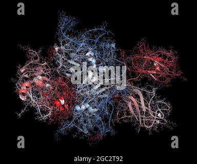 Koagulationsfaktor VIII (FVIII)-Protein, 3D-Rendering. Deficienc Stockfoto