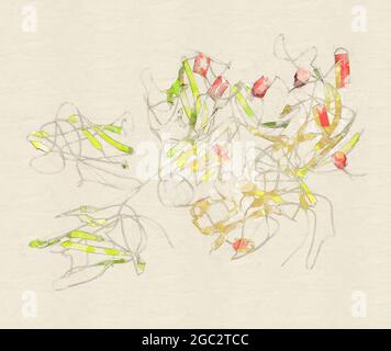 Koagulationsfaktor VIII (FVIII)-Protein, 3D-Rendering. Deficienc Stockfoto