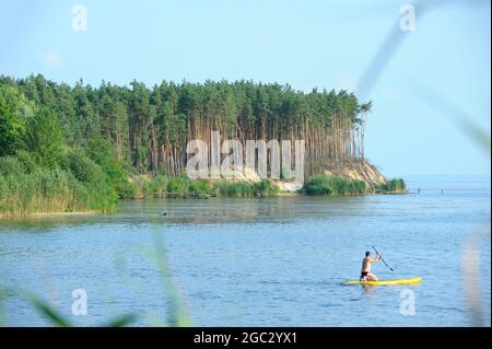 Bewaldete Landzunge, Menschen Sonnenbaden Reiten Sup Boards auf dem Wasser des großen Flusses Stockfoto