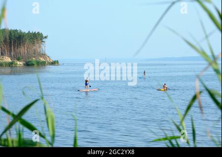 Bewaldete Landzunge, Menschen Sonnenbaden Reiten Sup Boards auf dem Wasser des großen Flusses Stockfoto