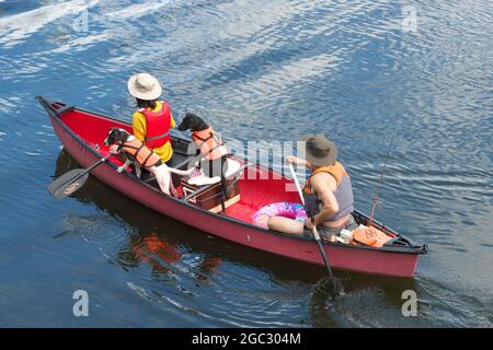 Besucher des Flusses Wye, die mit zwei Haustierhunden in der Nähe von Hereford, Herefordshire, auf der Wye Kanu fahren, 2021. August Stockfoto