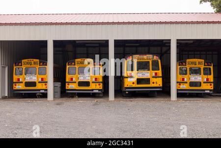 Schulbusse in der Garage, Palouse, Washington State, USA, geparkt Stockfoto