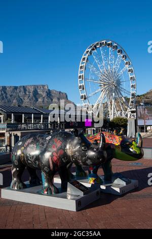 Rhino-Kunst und das Cape Wheel an der Victoria & Alfred Waterfront, Kapstadt, Südafrika Stockfoto