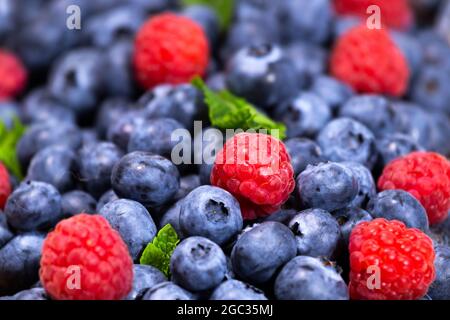 Heidelbeere und Himbeere mit Minze Hintergrund. Draufsicht. Nahaufnahme von frischen reifen gemischten Beeren. Sommerfrüchte, Copyspace Stockfoto