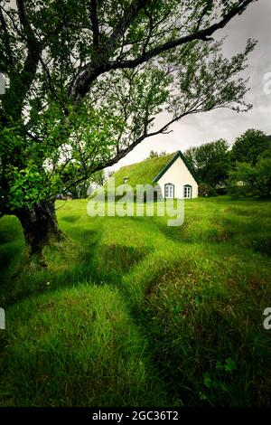 Die berühmte Hofskirkja mit ihrem typischen grünen Rasendach. Stockfoto