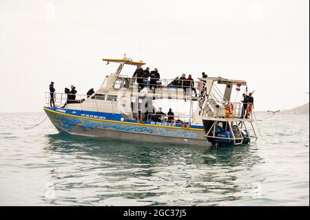 Haifischkäfig-Tauchboot, Gansbaai, Südafrika Stockfoto