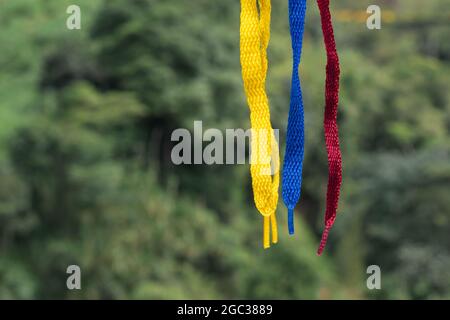 Flagge Kolumbiens mit Schnürsenkeln, hängend auf einem Hintergrund von dichtem Dschungel, grüner Hintergrund Stockfoto