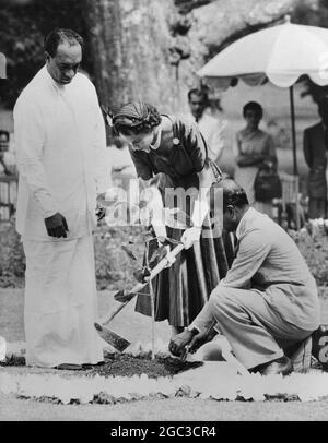 Königin Elizabeth II. Pflanzt einen Baum im Königlichen Botanischen Garten Pera Denyya Ceylon an ihrer Seite steht der Minister für Agticulture, Herr J. R. Jayawardene, April 1954 Stockfoto