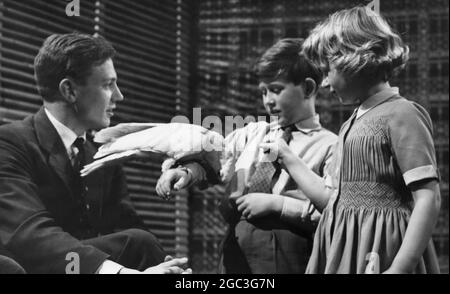 Prinz Charles und seine Schwester Prinzessin Anne schließen sich in den BBC-Fernsehstudios in Lime Grove mit dem 3-jährigen Kakadu von David Attenborough an. April 1958 Stockfoto