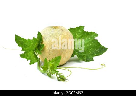 Galia-melone ganze und halbe Stück Zusammensetzung auf weißem Hintergrund Stockfoto
