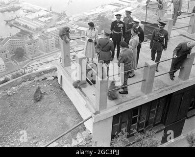 Königin Elizabeth II. Und der Herzog von Edinburgh sahen, als sie die Menschenaffen vor dem Einsteigen in Britannia für ihre letzte Heimreise besuchten. 11 Mai 1954 Stockfoto