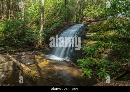 Nahaufnahme Seitenansicht des Wasserfalls, der auf die Felsen und Felsbrocken überläuft, wobei das Sonnenlicht auf den Baumstämmen im Wasser mit den Wäldern im b glüht Stockfoto