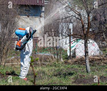 Ein Mann in Schutzanzug und Maske mit Bestäuber auf dem Rücken sprüht Bäume und Sträucher mit einer chemischen Lösung aus Pestiziden und Parasiten. Th Stockfoto