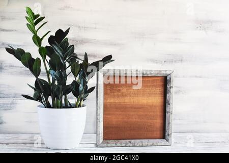 Topped ZZ Dowon Plant, Zamioculcas Zamifolia, Zimmerpflanze mit leerem Holz Bauernhaus Schild oder Bilderrahmen über einem rustikalen Tisch. Stockfoto